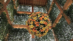 Resize of IMG_7112.JPG